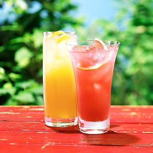 Lite Delite Assorted Sugar Free Drink Mixes (Lemonade, Fruit Punch, Orange) 12 Count – 2 Oz